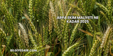 Arpa Ekim Maliyeti Ne Kadar 2025
