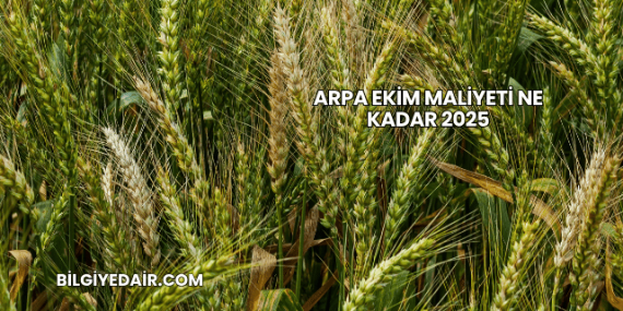 Arpa Ekim Maliyeti Ne Kadar 2025