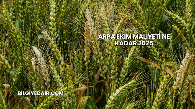 Arpa Ekim Maliyeti Ne Kadar 2025