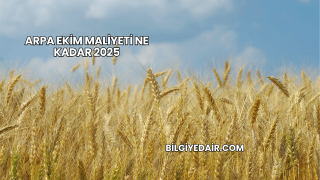 Arpa Ekim Maliyeti Ne Kadar 2025
