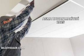 Asma Tavan Maliyeti 2025