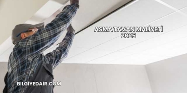 Asma Tavan Maliyeti 2025