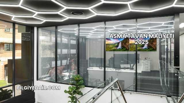Asma Tavan Maliyeti 2025