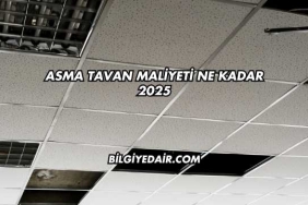 Asma Tavan Maliyeti Ne Kadar 2025