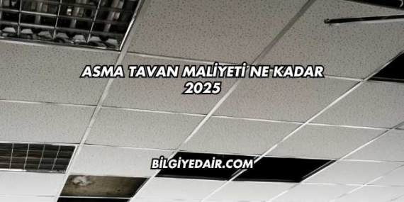 Asma Tavan Maliyeti Ne Kadar 2025