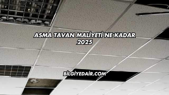 Asma Tavan Maliyeti Ne Kadar 2025