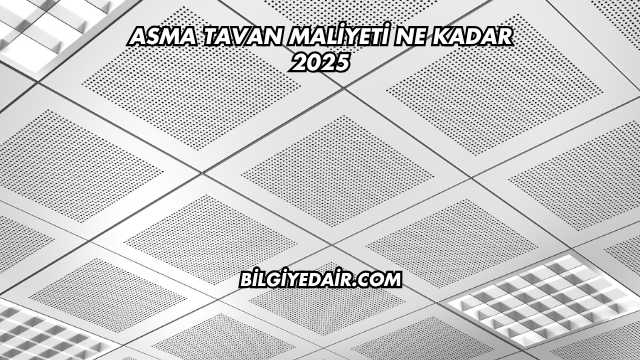 Asma Tavan Maliyeti Ne Kadar 2025
