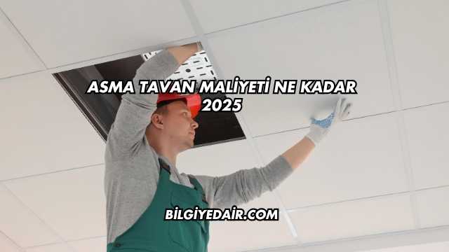 Asma Tavan Maliyeti Ne Kadar 2025