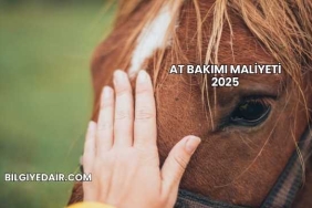 At Bakımı Maliyeti 2025