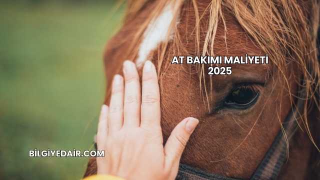 At Bakımı Maliyeti 2025