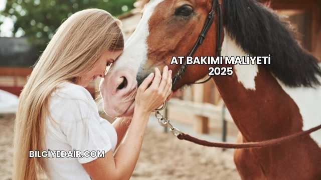 At Bakımı Maliyeti 2025