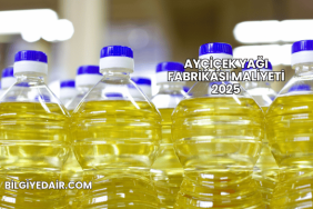 Ayçiçek Yağı Fabrikası Maliyeti 2025