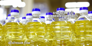 Ayçiçek Yağı Fabrikası Maliyeti 2025