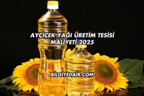 Ayçiçek Yağı Üretim Tesisi Maliyeti 2025