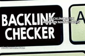Backlink Satın Almanın Maliyeti 2025