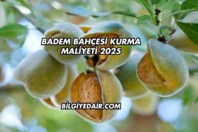 Badem Bahçesi Kurma Maliyeti 2025