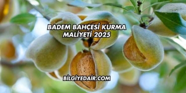Badem Bahçesi Kurma Maliyeti 2025