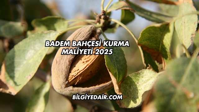 Badem Bahçesi Kurma Maliyeti 2025