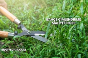Bahçe Çimlendirme Maliyeti 2025