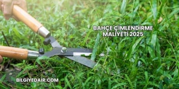 Bahçe Çimlendirme Maliyeti 2025