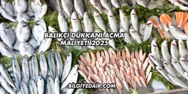 Balıkçı Dükkanı Açma Maliyeti 2025