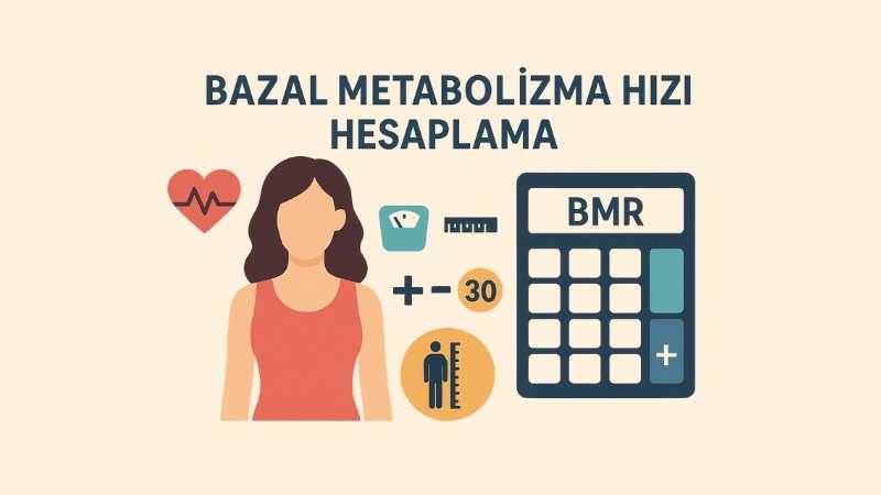 Bazal Metabolizma Hızı Hesaplama