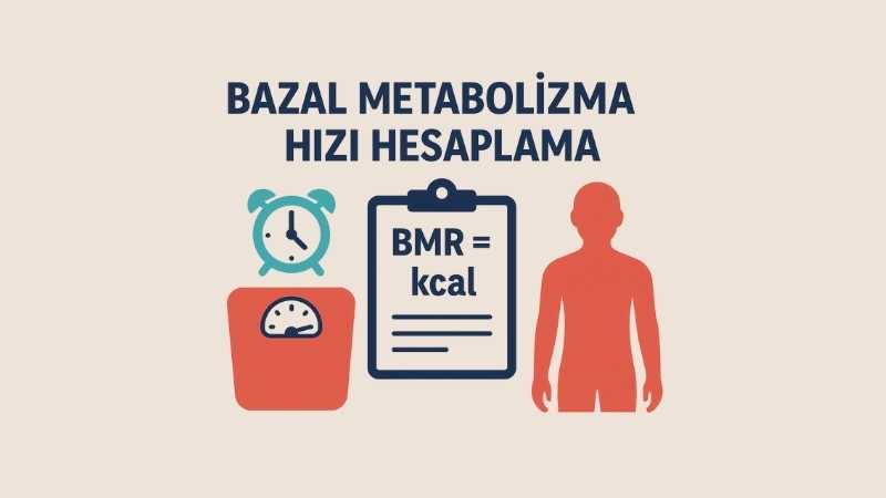 Bazal Metabolizma Hızı Hesaplama