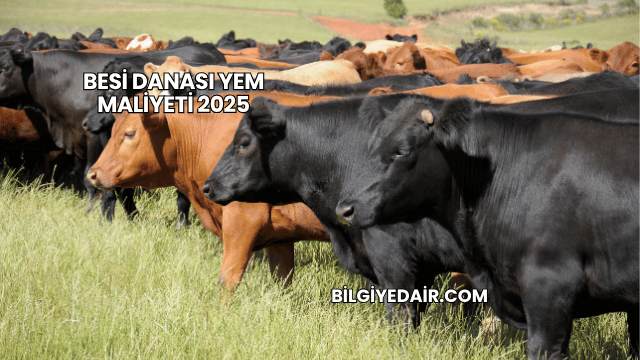 Besi Danası Yem Maliyeti 2025
