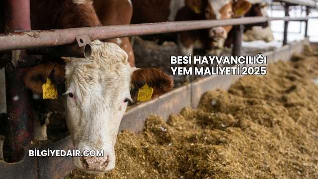 Besi Hayvancılığı Yem Maliyeti 2025