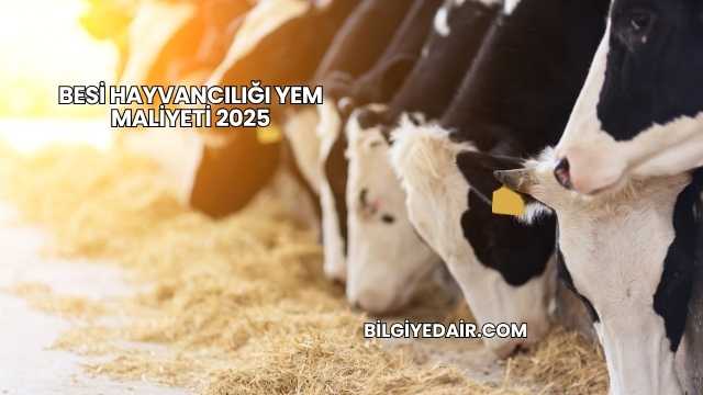 Besi Hayvancılığı Yem Maliyeti 2025