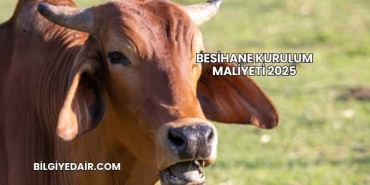 Besihane Kurulum Maliyeti 2025