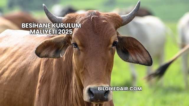 Besihane Kurulum Maliyeti 2025