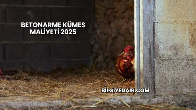 Betonarme Kümes Maliyeti 2025