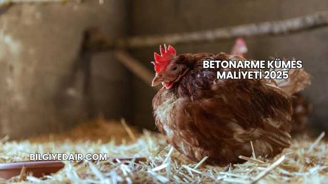 Betonarme Kümes Maliyeti 2025