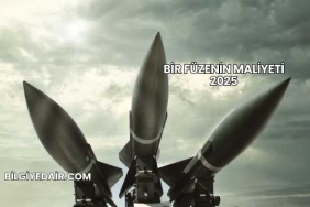Bir Füzenin Maliyeti 2025