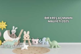 Bir Kreş Açmanın Maliyeti 2025
