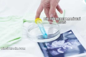 Bir Tüp Bebek Maliyeti 2025