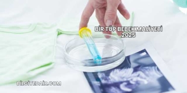 Bir Tüp Bebek Maliyeti 2025