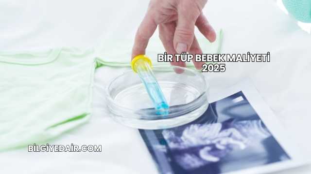 Bir Tüp Bebek Maliyeti 2025