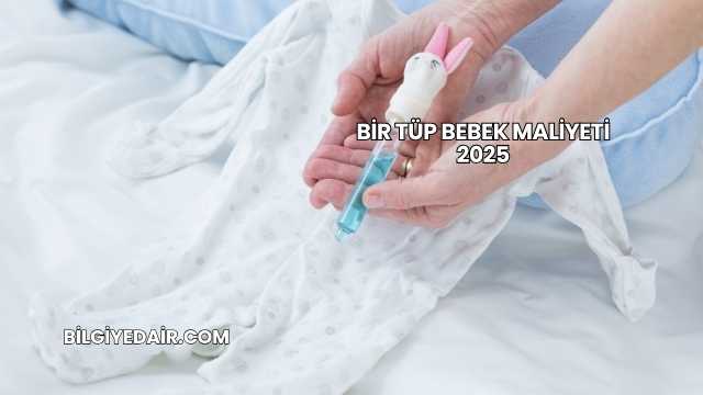 Bir Tüp Bebek Maliyeti 2025
