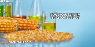 Biyoetanol Üretim Tesisi Maliyeti 2025