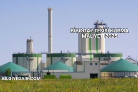 Biyogaz Tesisi Kurma Maliyeti 2025