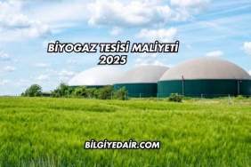 Biyogaz Tesisi Maliyeti 2025