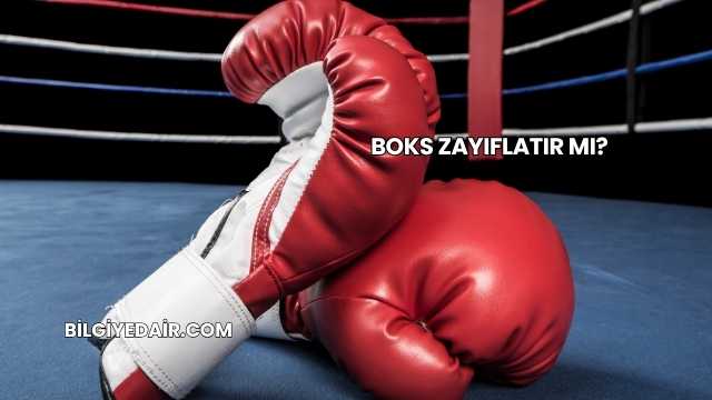 Boks Zayıflatır mı?