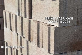 Briket Fabrikası Maliyeti 2025