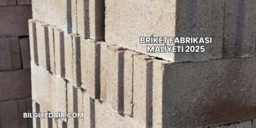 Briket Fabrikası Maliyeti 2025
