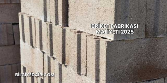 Briket Fabrikası Maliyeti 2025