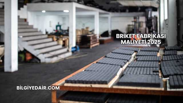 Briket Fabrikası Maliyeti 2025