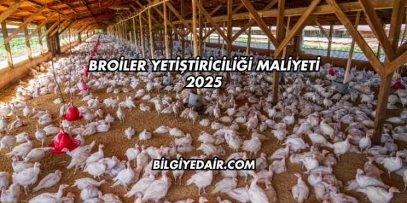 Broiler Yetiştiriciliği Maliyeti 2025