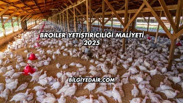 Broiler Yetiştiriciliği Maliyeti 2025